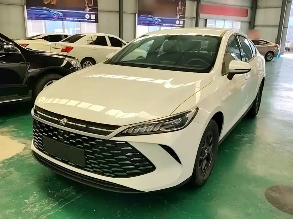 BYD Qin PLUS — фото 1