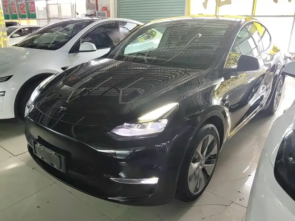 Tesla Model Y — фото 8