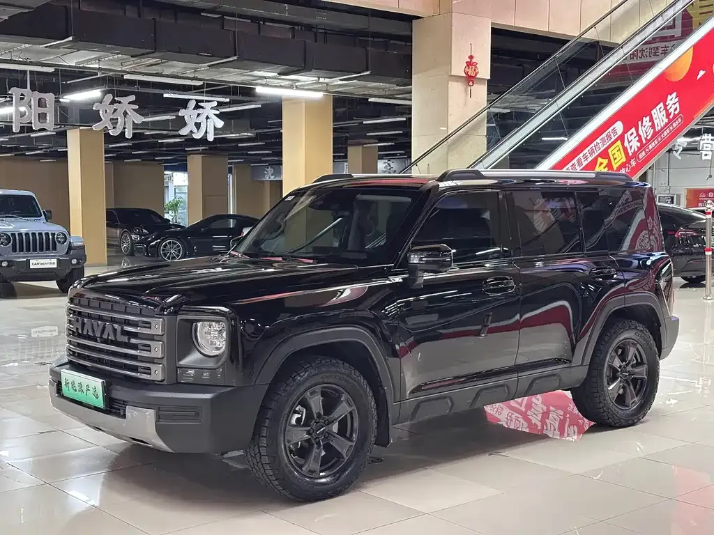 Haval Menglong New Energy — фото 1