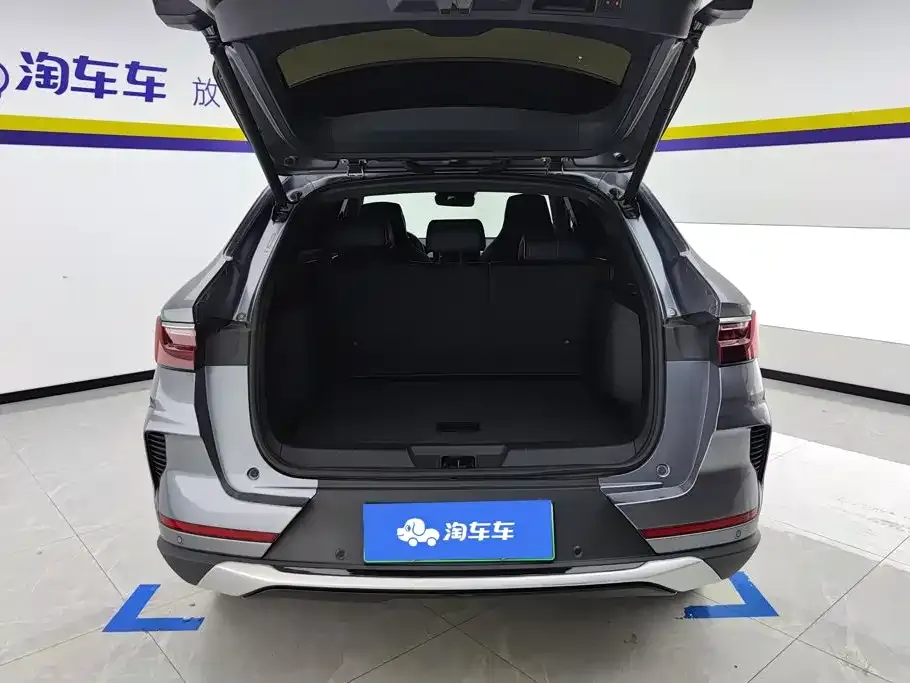 BYD PLUS New Energy — фото 8