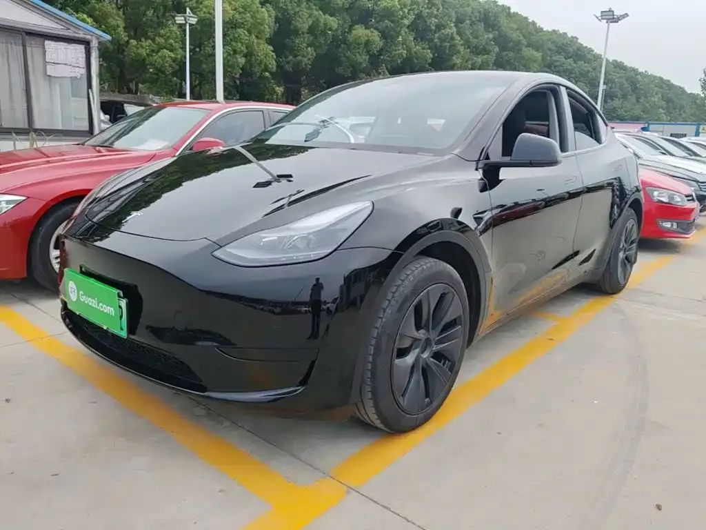 Tesla Model Y — фото 5