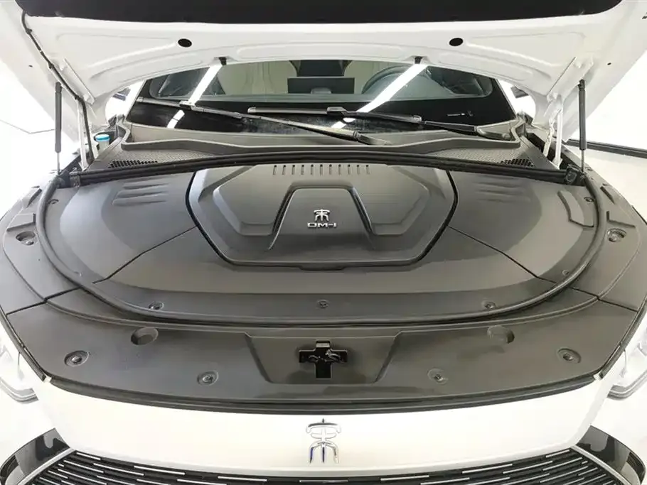 BYD PLUS New Energy — фото 4