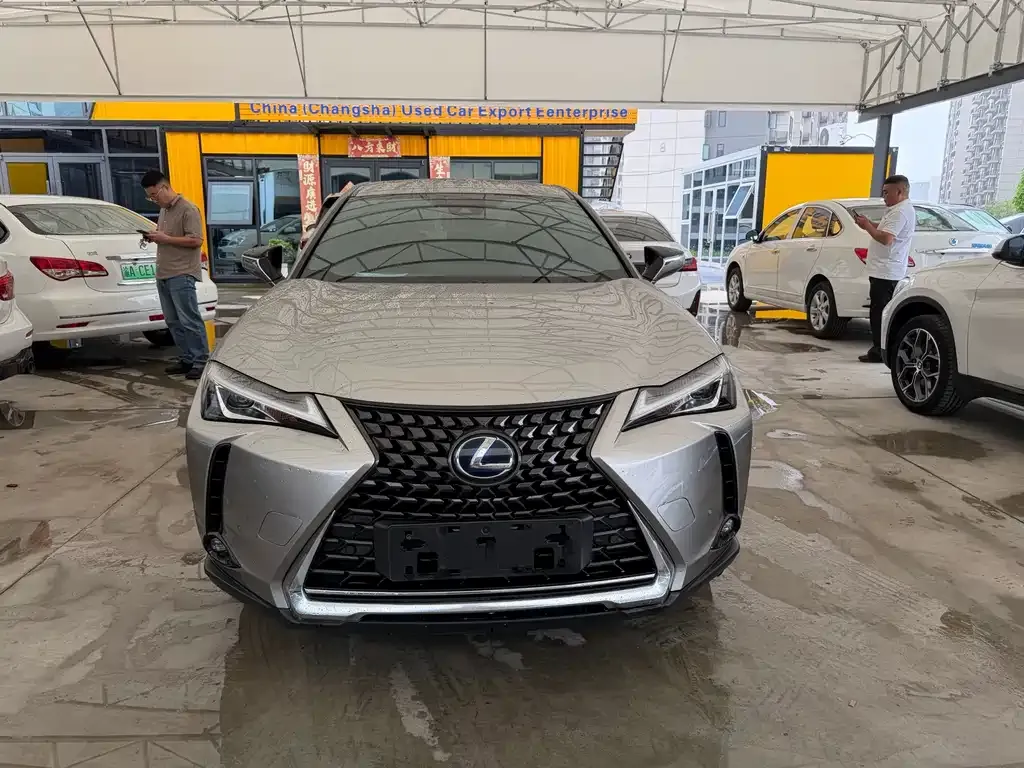 Lexus UX New Energy — фото 9