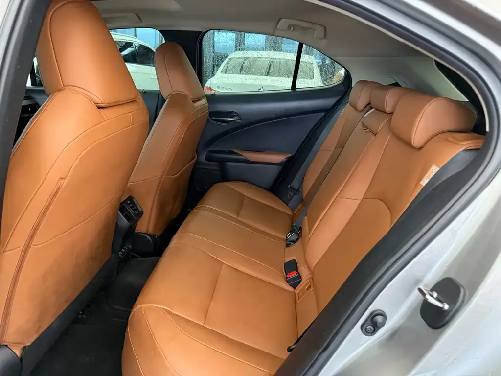 Lexus UX New Energy — фото 3