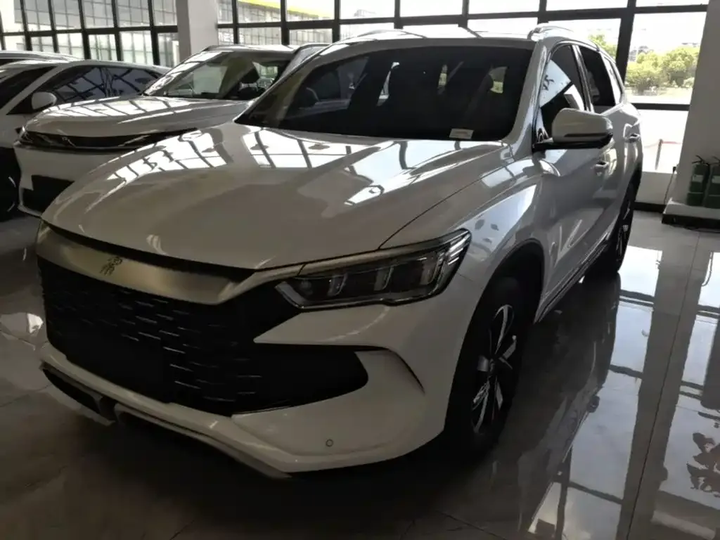 BYD Pro New Energy — фото 1