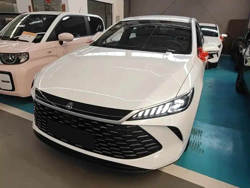 BYD Qin PLUS — фото 1