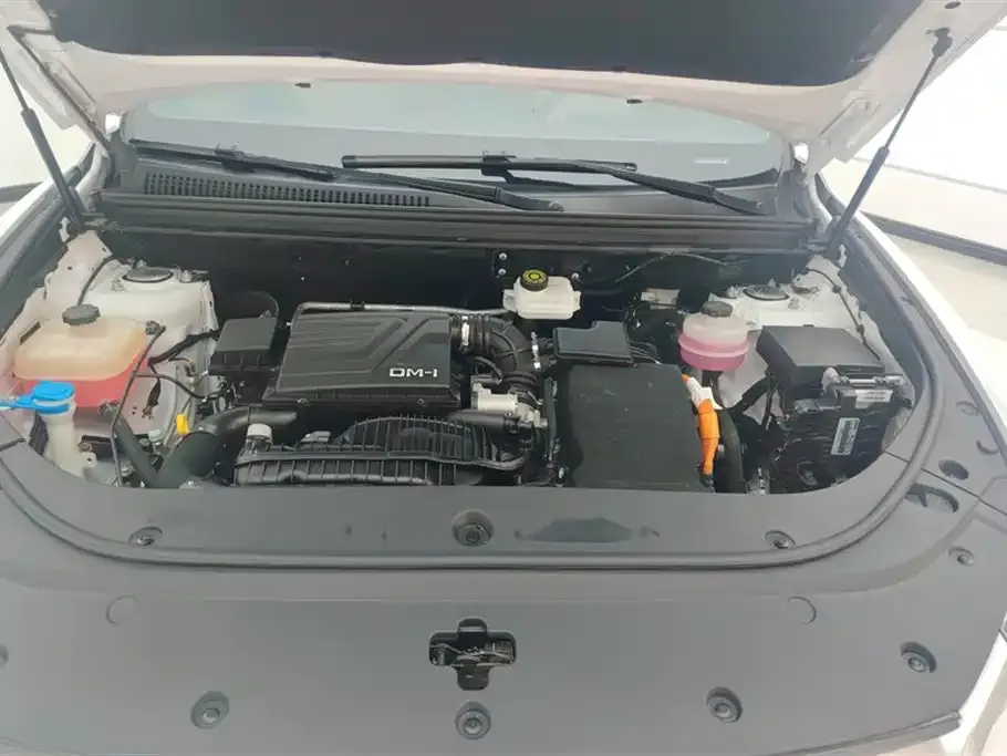 BYD Pro New Energy — фото 8