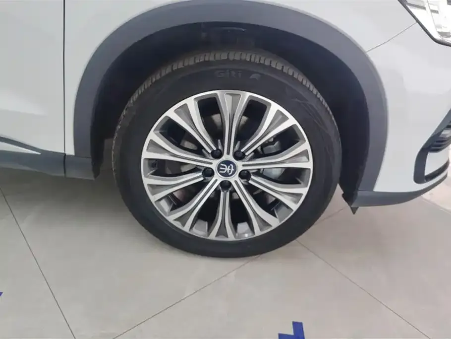 BYD Pro New Energy — фото 9