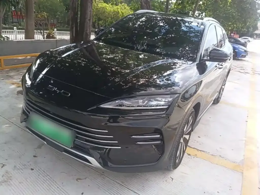BYD PLUS New Energy — фото 1