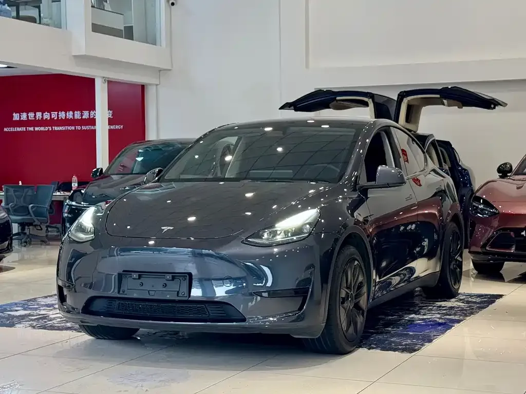 Tesla Model Y — фото 1