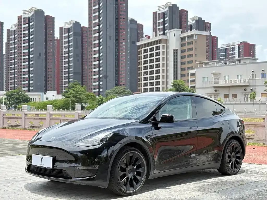 Tesla Model Y — фото 1