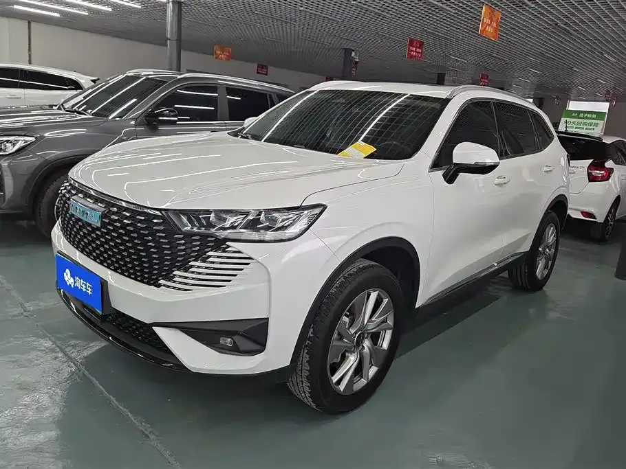 Haval H6 New Energy — фото 1
