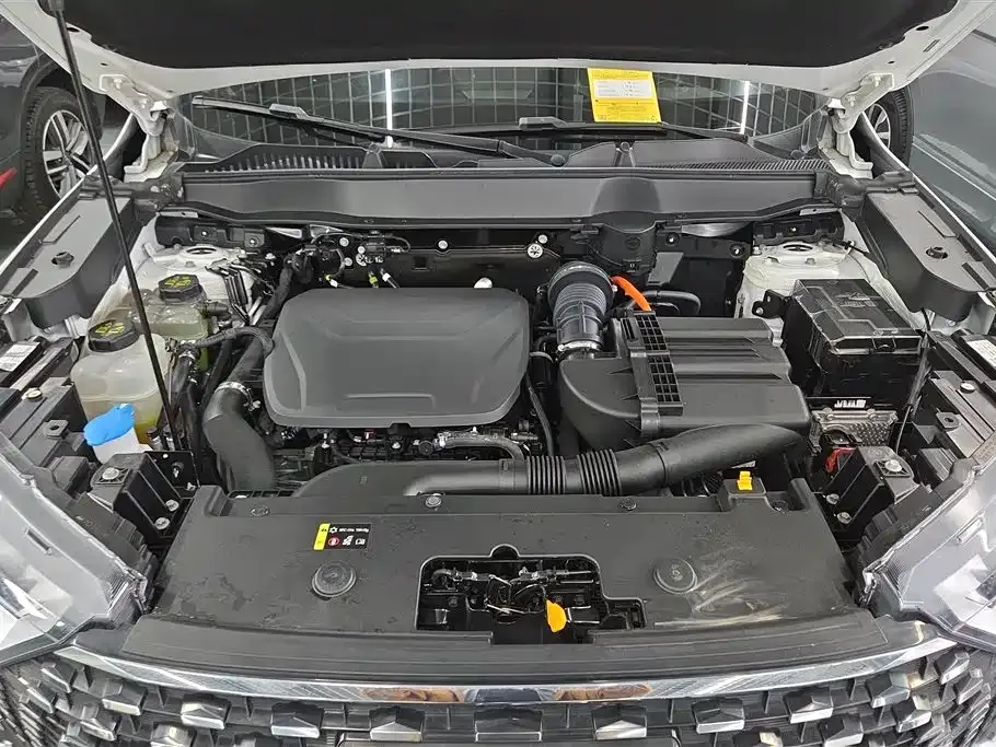 Haval H6 New Energy — фото 9