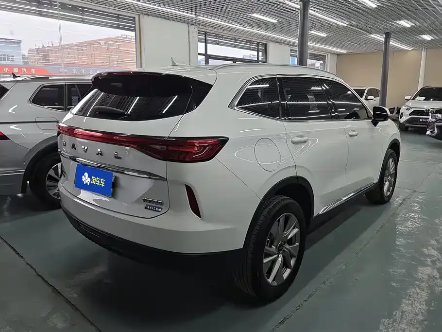 Haval H6 New Energy — фото 3