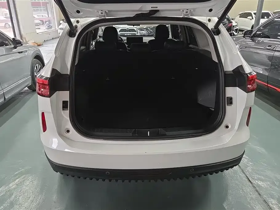 Haval H6 New Energy — фото 8