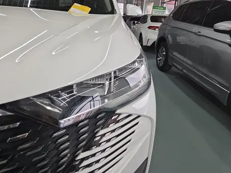 Haval H6 New Energy — фото 10
