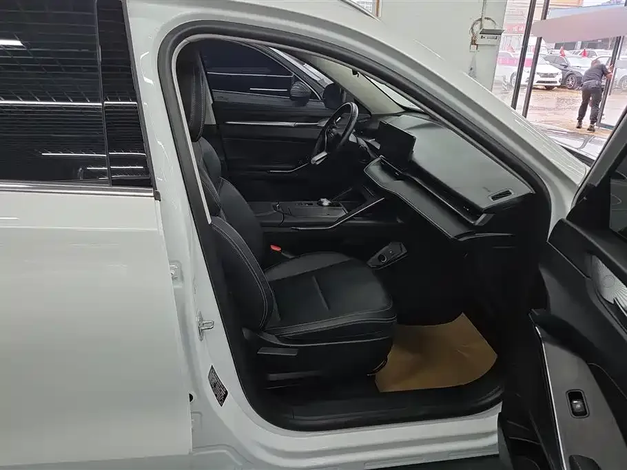 Haval H6 New Energy — фото 4