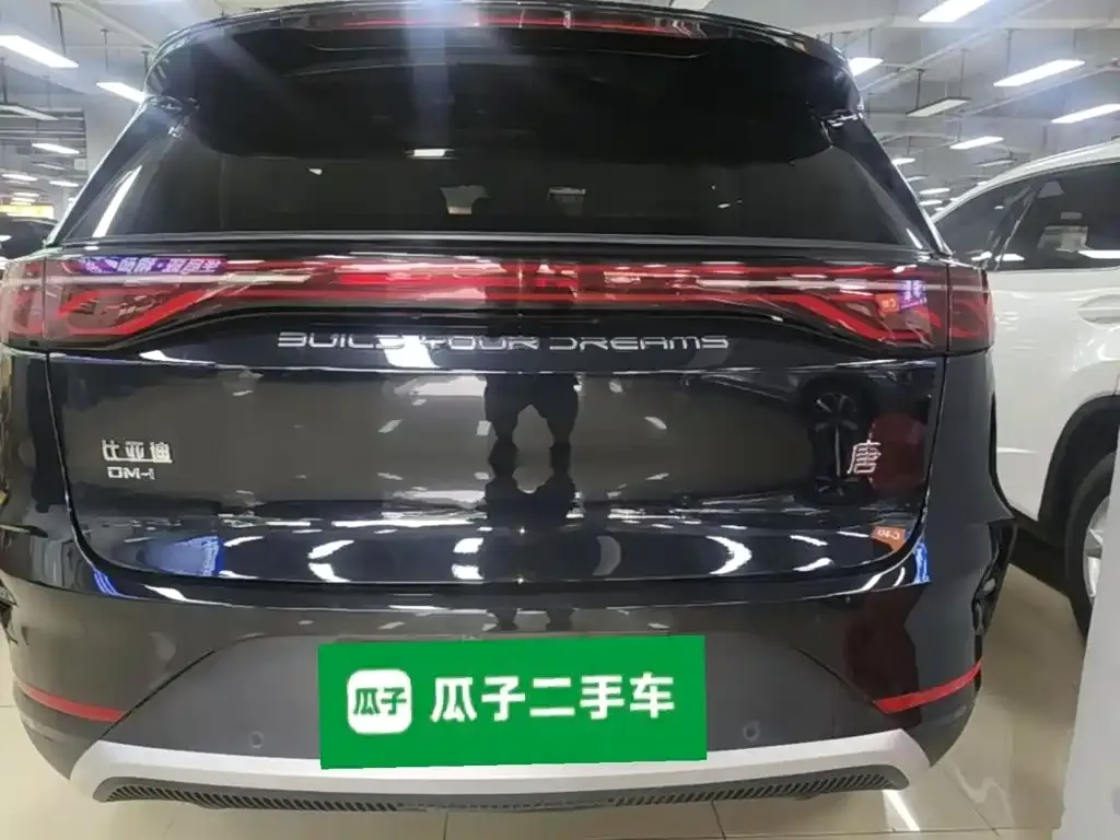 BYD Tang New Energy — фото 5