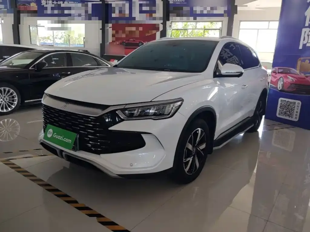 BYD Pro New Energy — фото 1