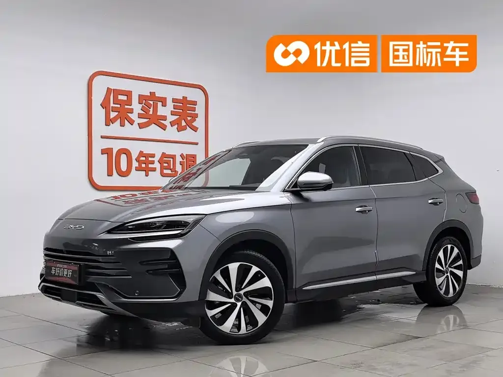 BYD PLUS New Energy — фото 1