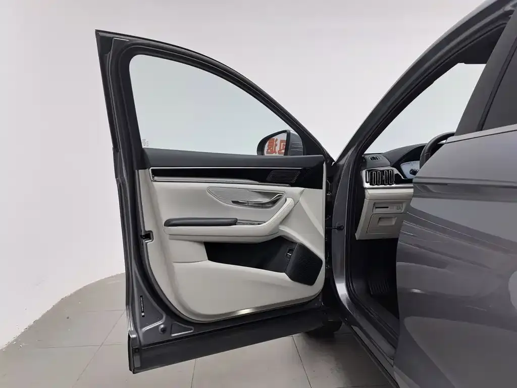 BYD PLUS New Energy — фото 2