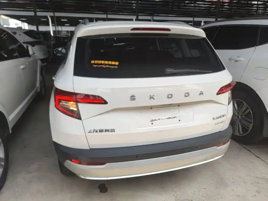 Skoda Karoq — фото 6
