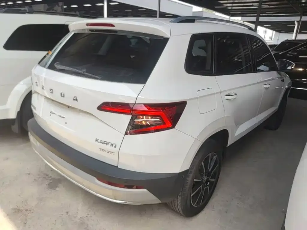 Skoda Karoq — фото 8