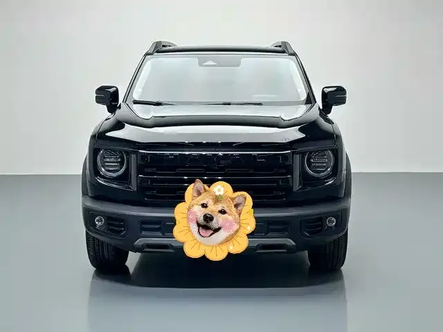 Haval Big Dog — фото 9