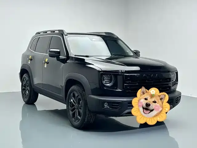 Haval Big Dog — фото 6