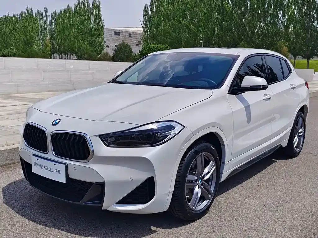 BMW X2 — фото 1
