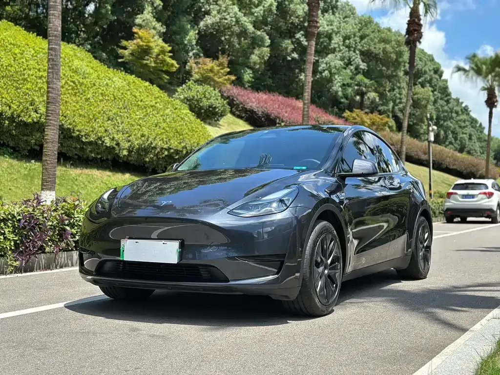 Tesla Model Y — фото 1