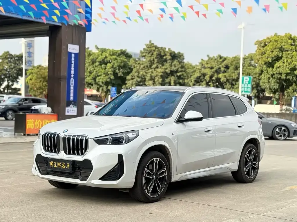 BMW X1 — фото 1