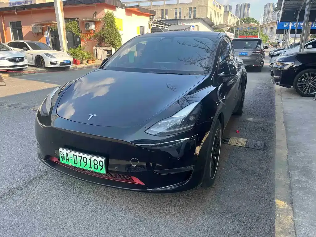 Tesla Model Y — фото 1