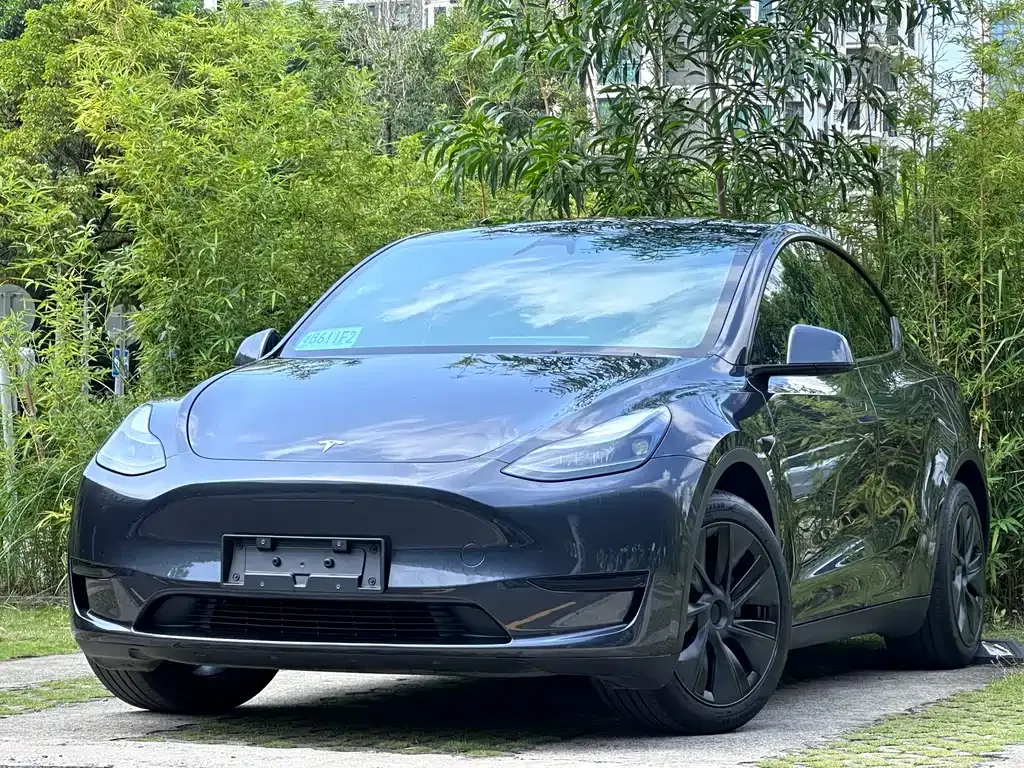 Tesla Model Y — фото 1