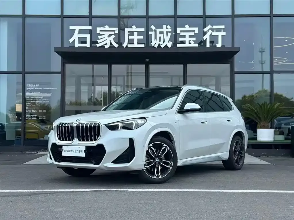 BMW X1 — фото 1