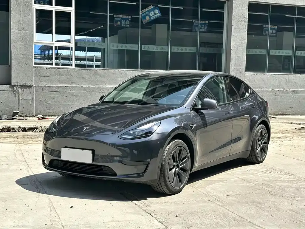 Tesla Model Y — фото 1