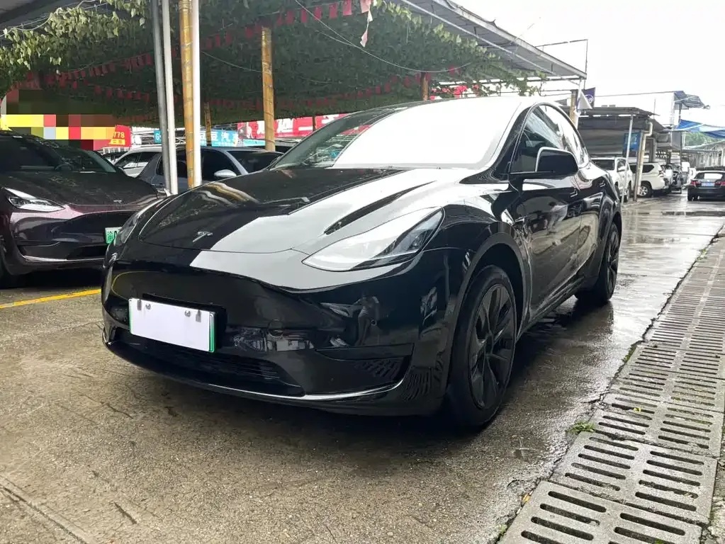 Tesla Model Y — фото 1