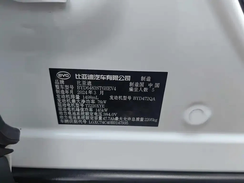 BYD PLUS New Energy — фото 2