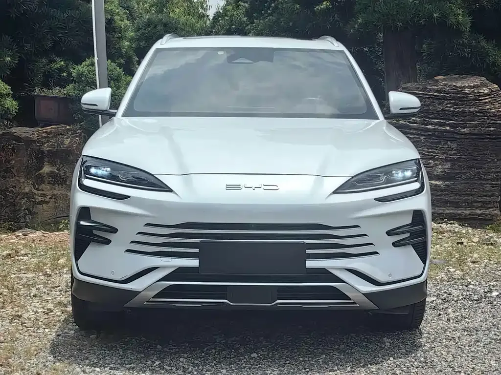 BYD PLUS New Energy — фото 10