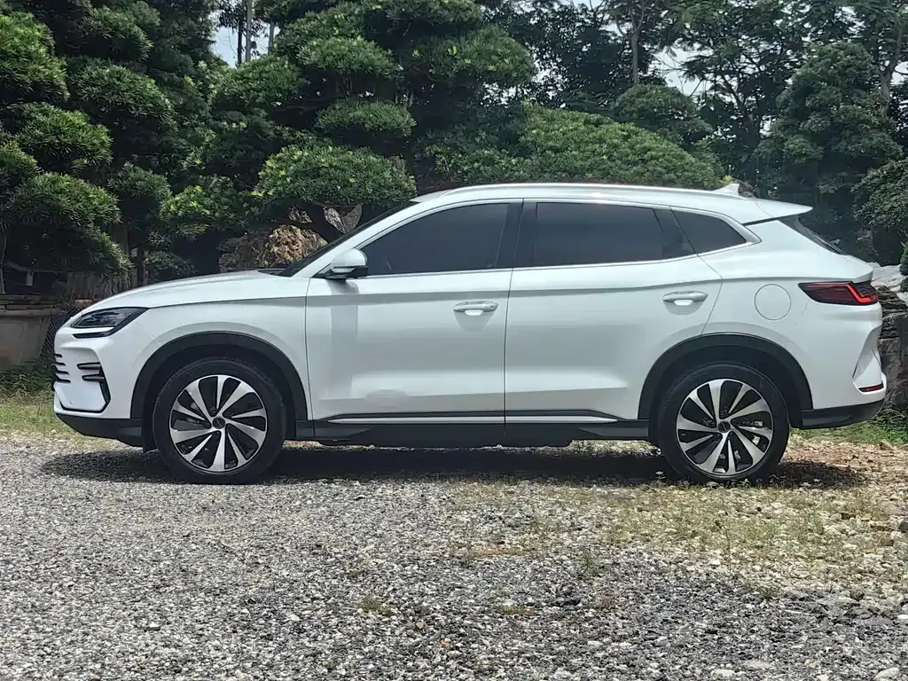 BYD PLUS New Energy — фото 8