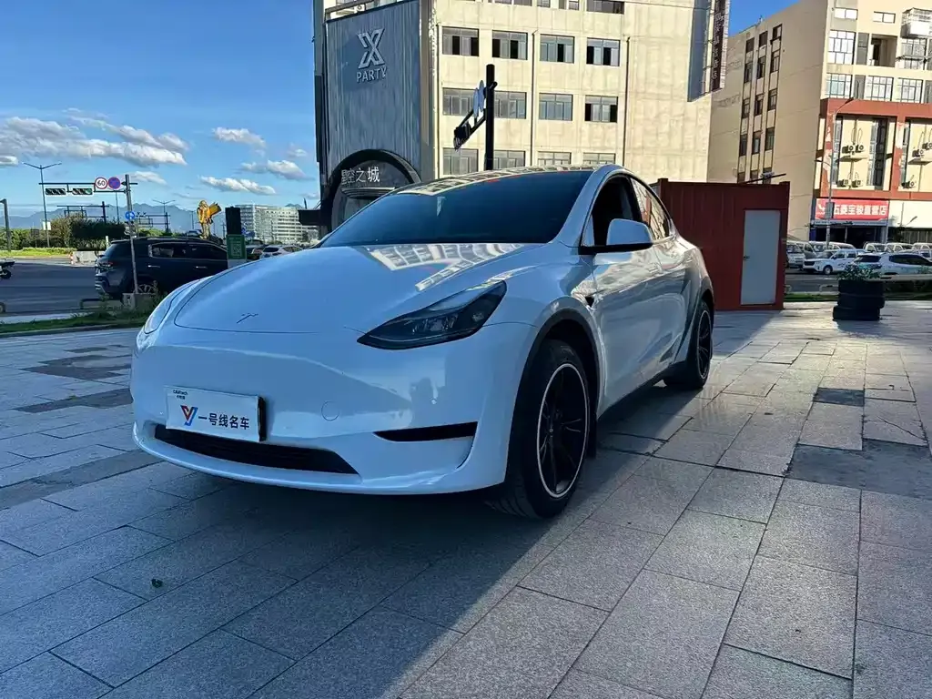 Tesla Model Y — фото 1