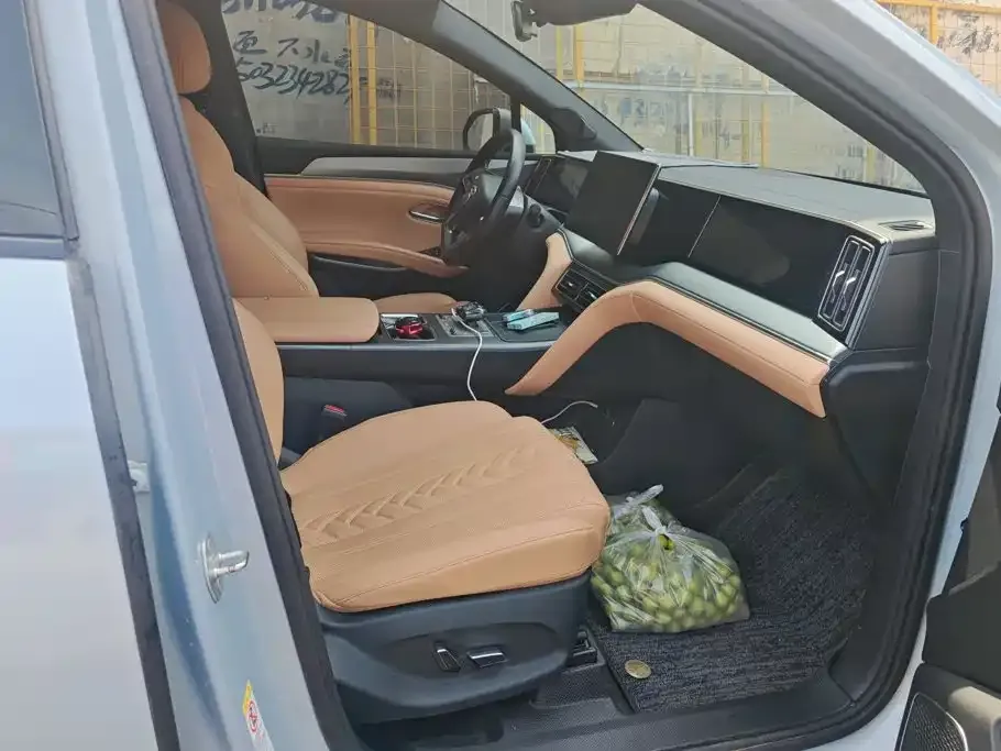 BYD L DM-i — фото 10