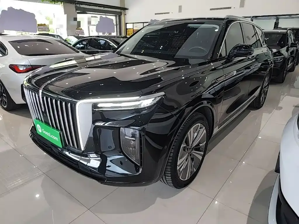 Hongqi E-HS9 — фото 10