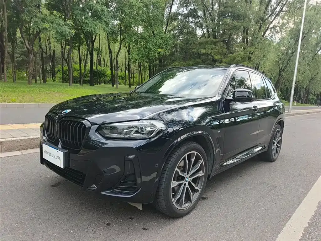 BMW X3 — фото 1