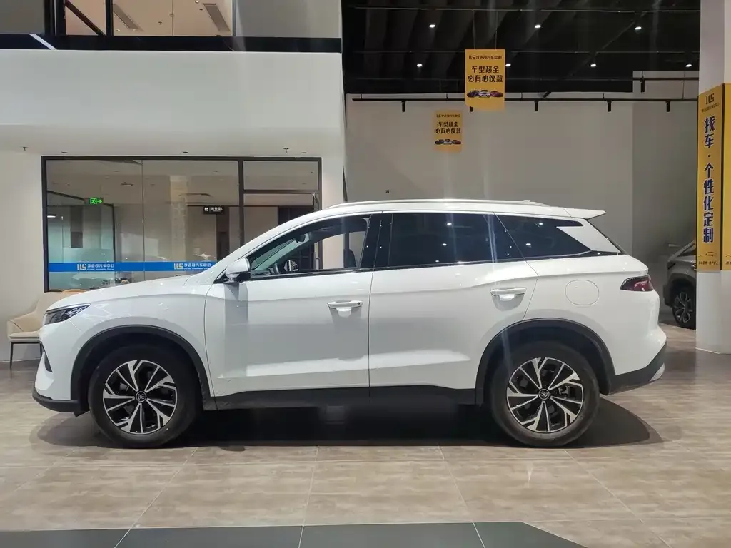 BYD Pro New Energy — фото 3