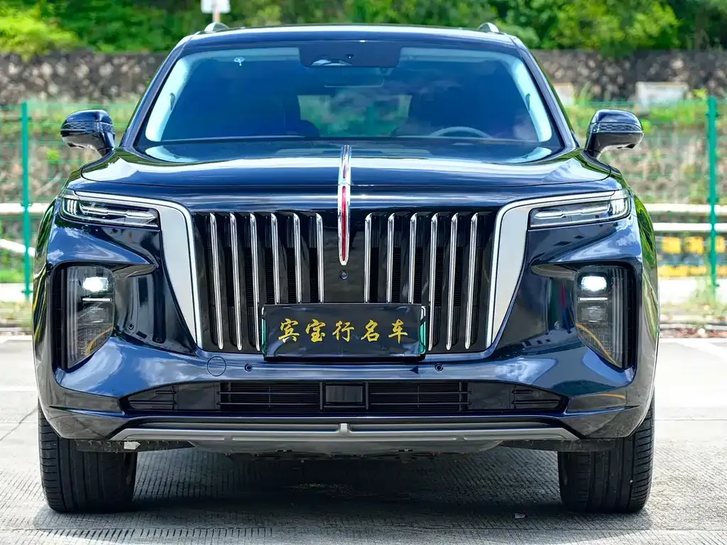 Hongqi E-HS9 — фото 1