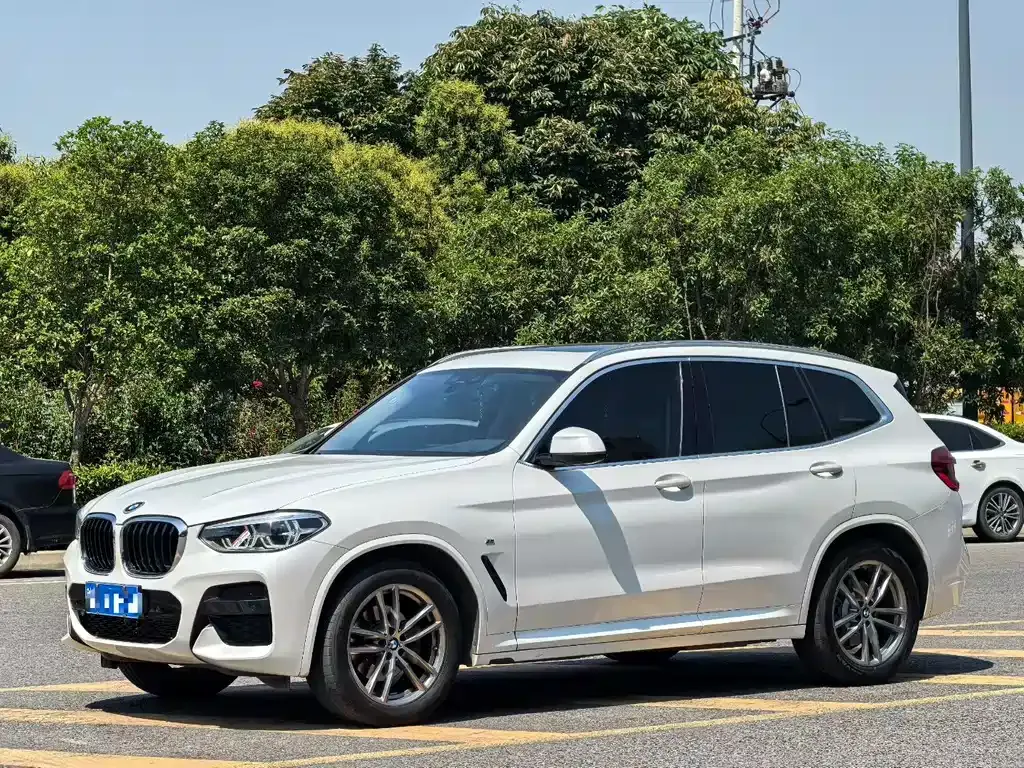 BMW X3 — фото 1