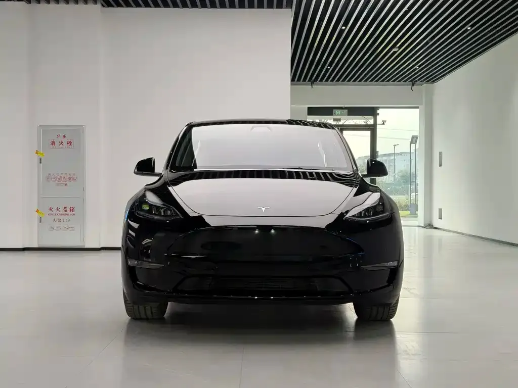 Tesla Model Y — фото 9