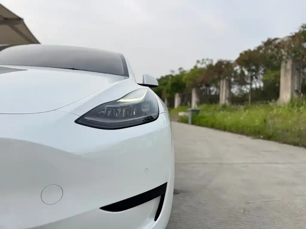 Tesla Model Y — фото 2