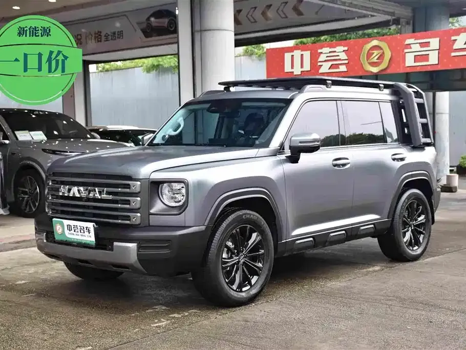 Haval Menglong New Energy — фото 1